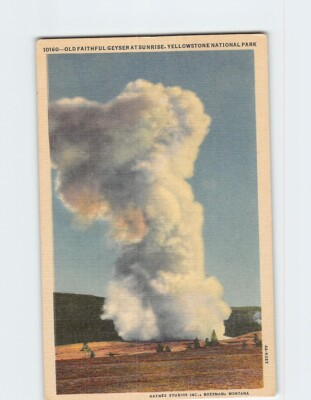 #ad Postcard Old Faithful Geyser At Sunrise Yellowstone National Park Wyoming USA $3.49
