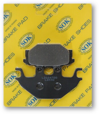 REAR BRAKE PADS fit CAN-AM DS 250  2007-2024 DS250
