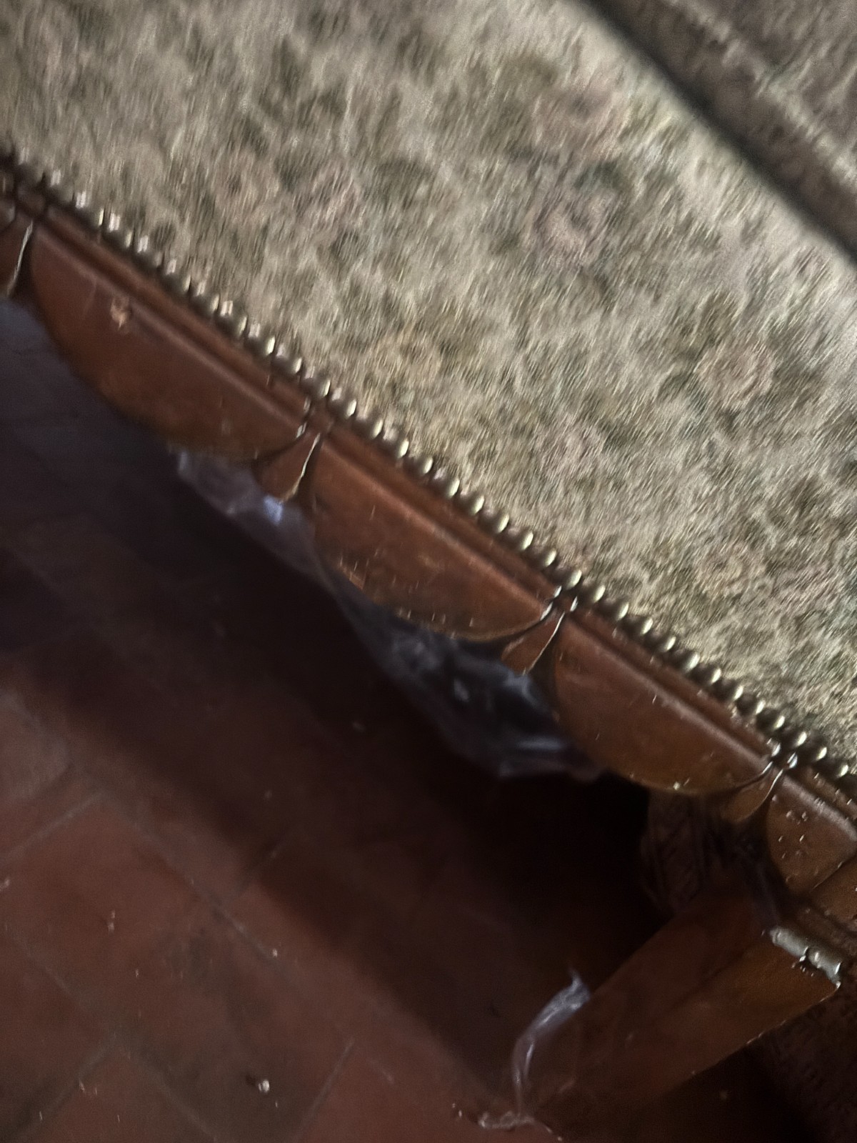 Foto 7 di 8
