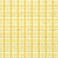 Zest For Life By Wilmington Prints - Yellow Plaid  #19159-555