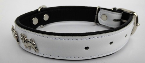 MOPS HUNDEHALSBAND - Halsband, Halsumfang 31-41cm/30mm, LEDER+Weiss (783) - Picture 4 of 8