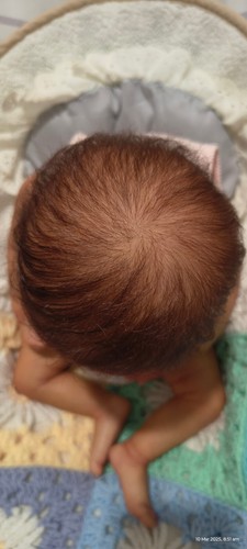 Reborn Baby Doll MILA by Gudrun Legler + Limted Edition COA # 176 / 1234 - Picture 18 of 21