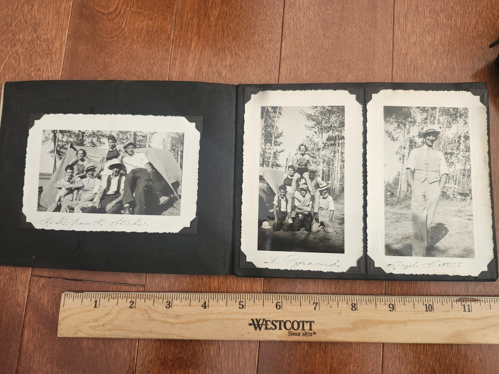 Picture 3 of 22