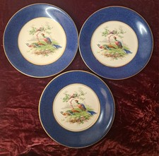 3 Antique Wedgwood Pheasant Bird Blue 9 inch Salad/Starter Plates