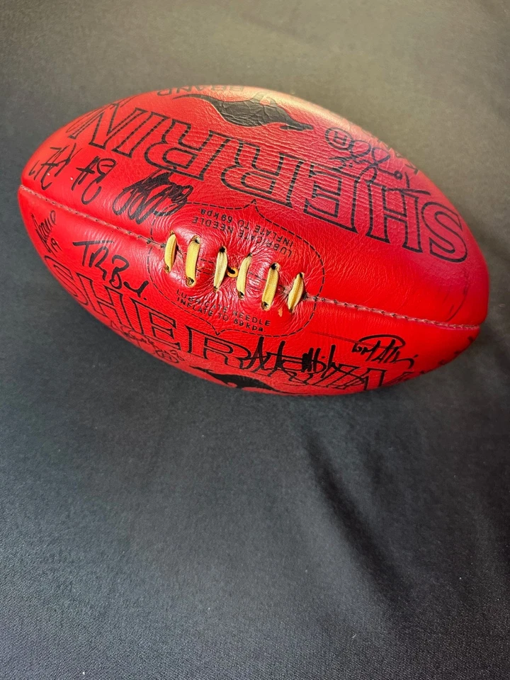 Футбол Шеррин с автографом команды Carlton Blues AFL 1994 в оригинальной коробке - Изображение 3 из 4