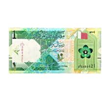 MINT Qatar 1 Riyal Banknote Currency Paper Money Middle East