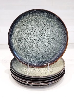 Stone Lain Reactive Glaze Dinner Plates 10.5  Set of 6 Stoneware