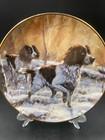 Foto 2 di 3