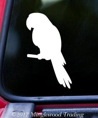 PARROT Vinyl Sticker - Tropical Bird - African Grey Amazon - Die Cut Decal