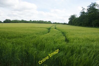 Foto 12x8 Gleise durch die Gerstenfelder Denston Die Gleise sind von c2014