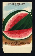 WATERMELON, Dixie, Burt's Antique Seed Packet, 002