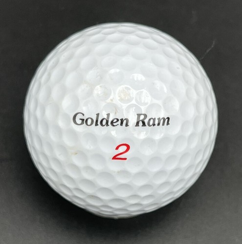 Florida State Seminoles Logo Golf Ball (1) Golden Ram Pre-Owned - Picture 2 of 4