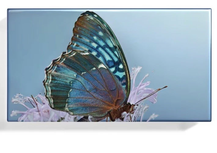 Тени для век CHANTECAILLE Diana трио ограниченный выпуск новые без коробки - Изображение 2 из 4