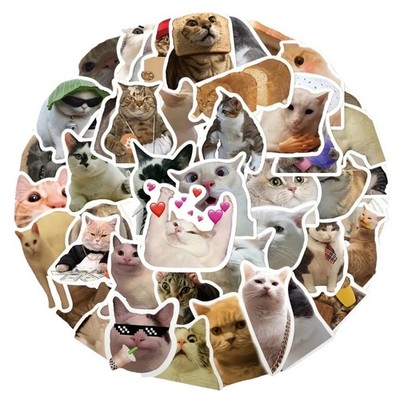 Funny Waterproof Cat Graffiti Stickers -50pcs Quirky &t Unique Designs