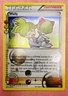 Wally RC27/RC32 | XY Generations | 2016 Anniversary Pokemon Card Reverse Holo MP