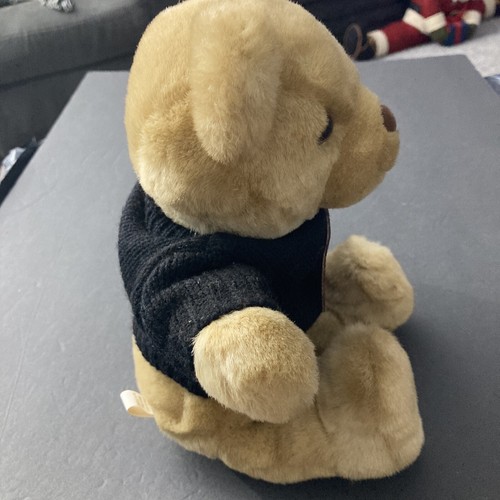 Dale Earnhardt Plush Bear Year 2000 With Black Sweater With NASCAR Tags Hallmark - Picture 17 of 18