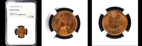 1909 1C NGC MS66+RD-PURE RED -POP 5-PURE RED-PQ INDIAN HEAD SMALL CENT---