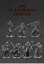 Black Dragon Company Full Set Metal Miniatures Dungeons Dragons War Game Toys