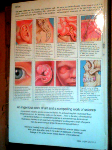 Evolution: The Story of the Origins of Humankind Hawkey, Raymond softback 3D - Picture 6 of 7