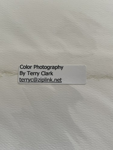 Terry Clark 4 tarjetas en blanco de hermosas fotografías flores lirios - Imagen 7 de 9