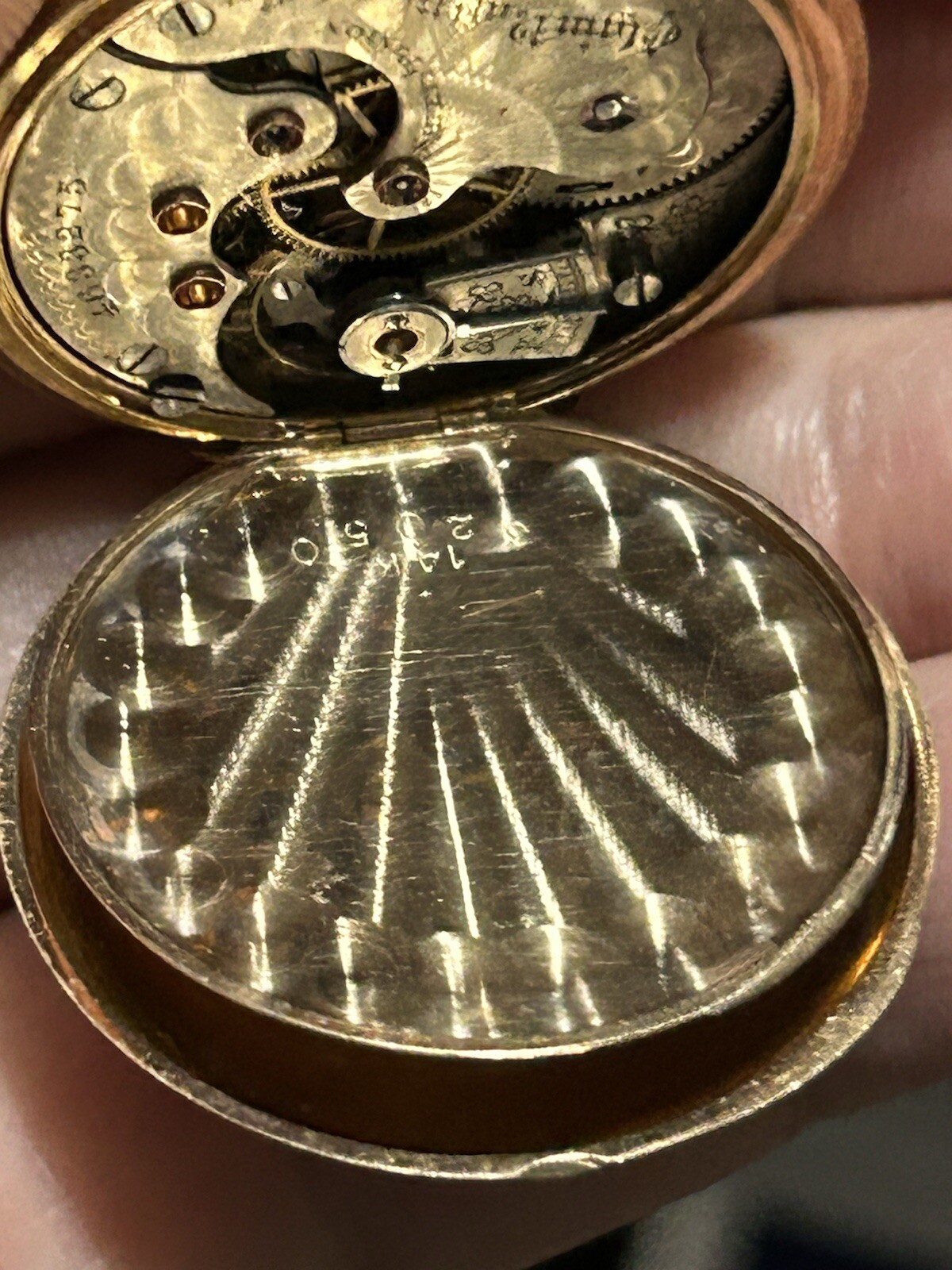 Picture 19 of 24