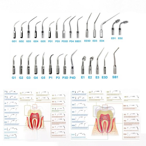 Dental Ultrasonic Scaler Tips Spanner Key Handpiece fit EMS Woodpecx/DTE/SATELEC - Picture 4 of 76