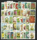 FLOWERS and PLANTS Collection Packet 50 Different WORLD Stamps