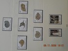 Picture 15 of 15
