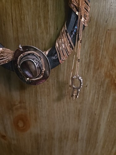 Ornate Wall Hanging Western Theme Horseshoe . Home Made - Picture 4 of 14