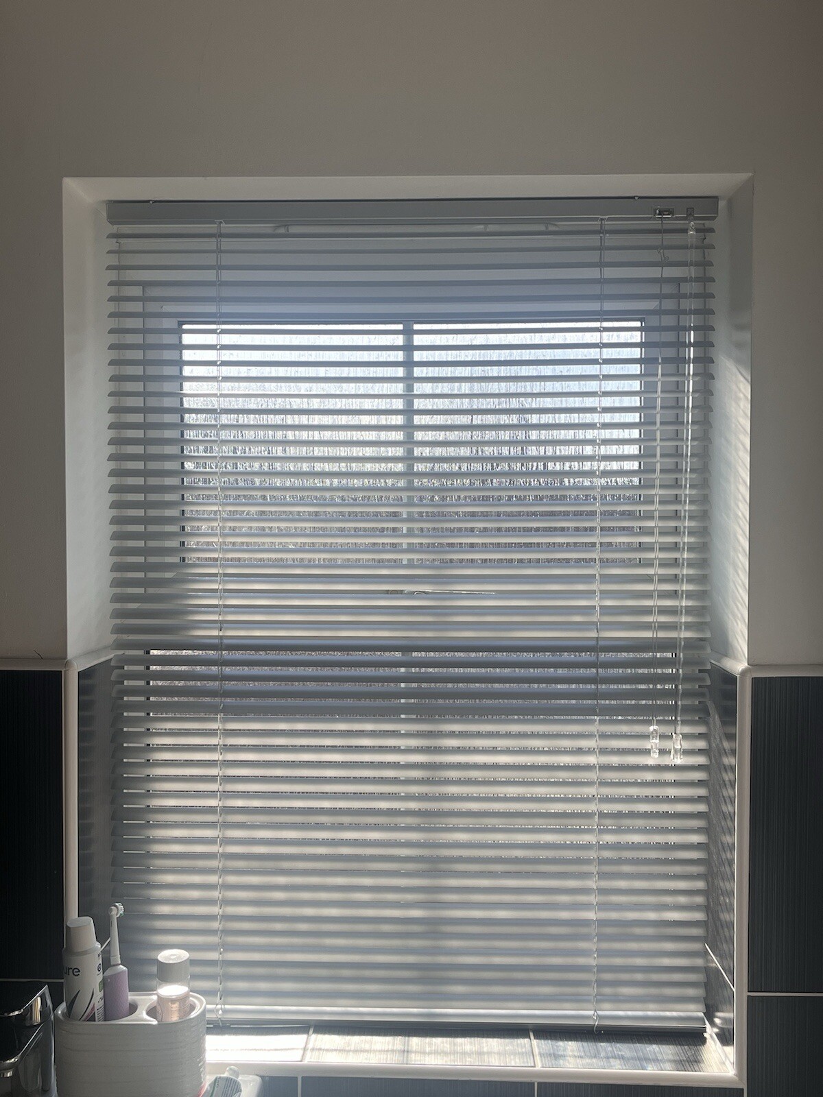 Silver Bathroom Blind