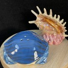 Bild 2 von 7