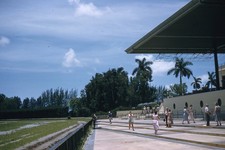 Florida Hialeah Racetrack Grounds Horse Racing 1957 Red Border Kodachrome Slide