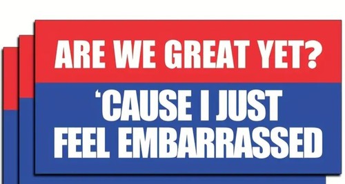 Are We Still Great? Cause I Just Feel Embarrassed Car Decal Anti-Trump Musk - Bild 5 von 5