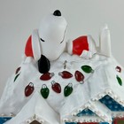 Picture 8 of 15
