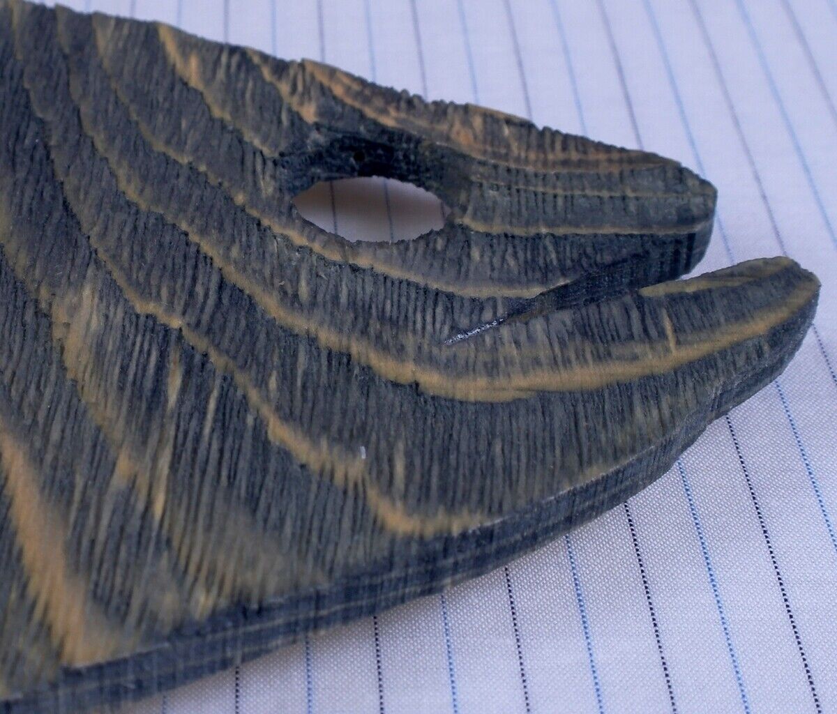 Picture 10 of 11