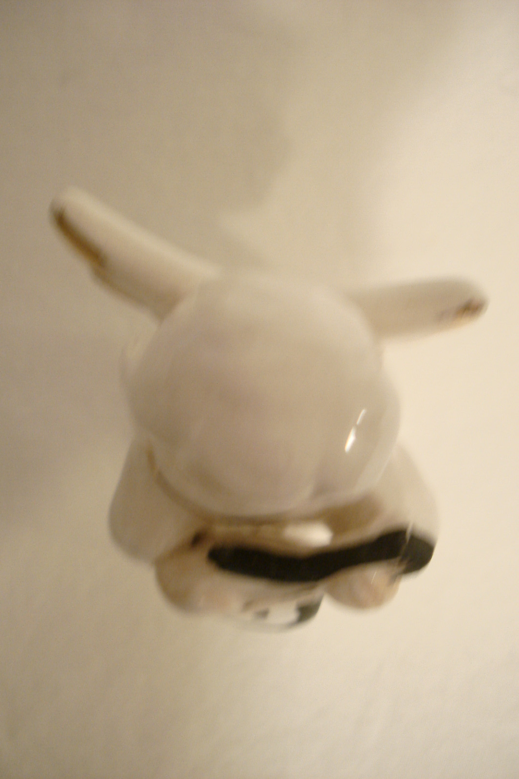 Bild 5 von 12