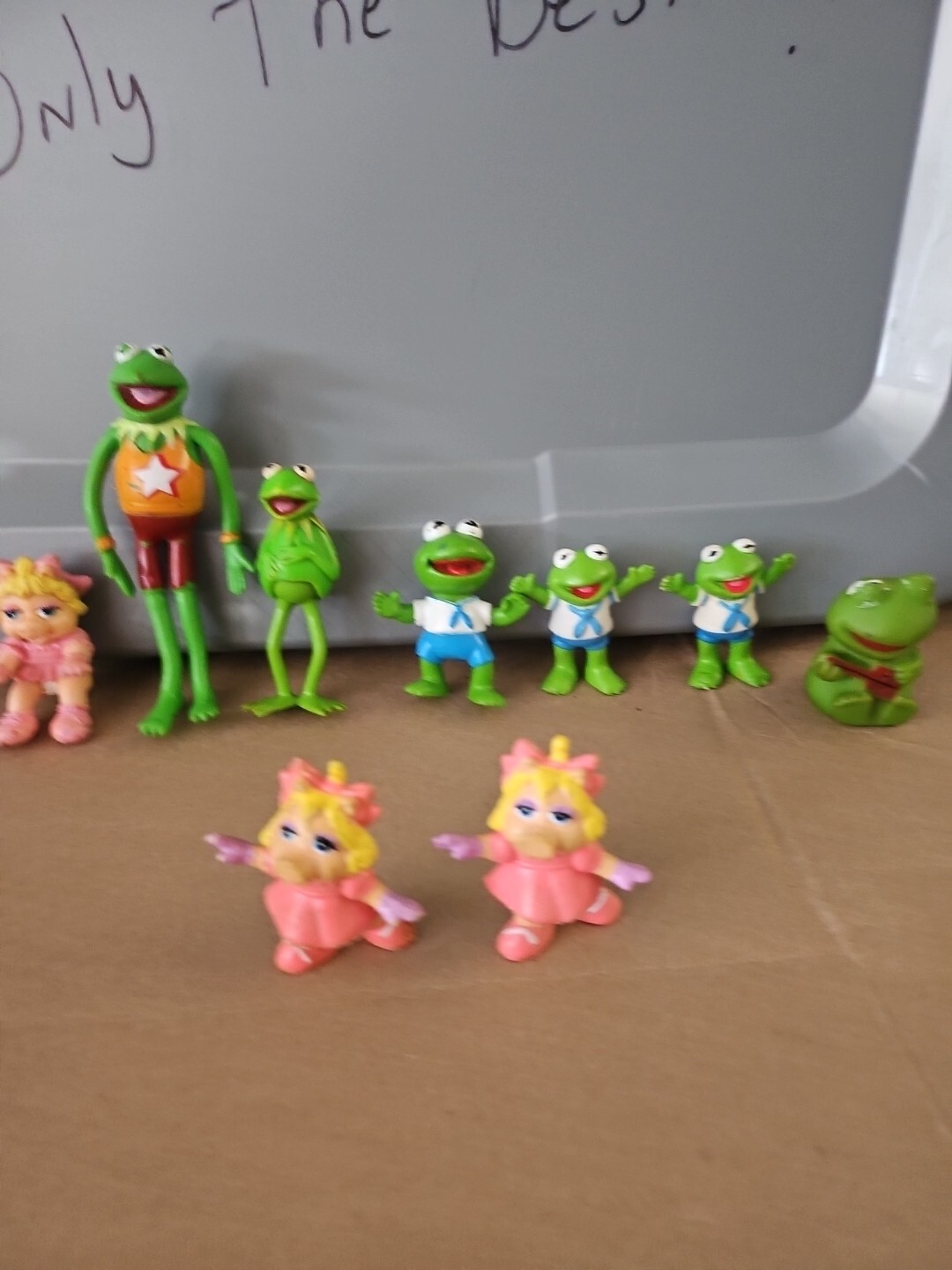 Picture 5 of 22