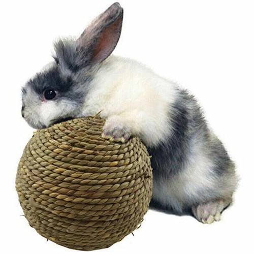 Meerschweinchen 4xChew Pets Spielzeug Set für Kiefer Vögel Kaninchen Hamster - Bild 2 von 12