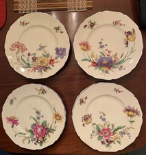 Black Knight Registered USA - (4) Porcelain Plates Hohenberg Bavaria Firenze