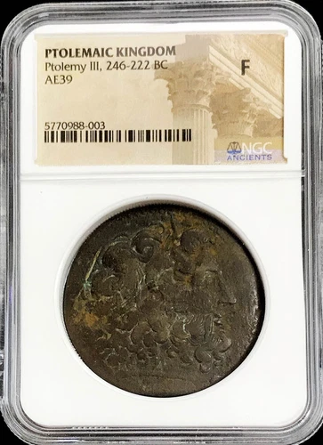 246-222 BC GREEK / EGYPT PTOLEMAIC KINGDOM AE 39 KING PTOLEMY III COIN NGC FINE