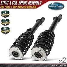 2x Front Suspension Strut & Coil Spring Assembly for Tesla Model 3 2017-2023 RWD