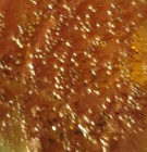Bild 8 von 9