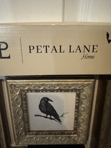 Petal Lane Halloween Decor Frames-Seasonal HomeGoods Set Of 6! Viral Ghost Witch - Picture 4 of 6