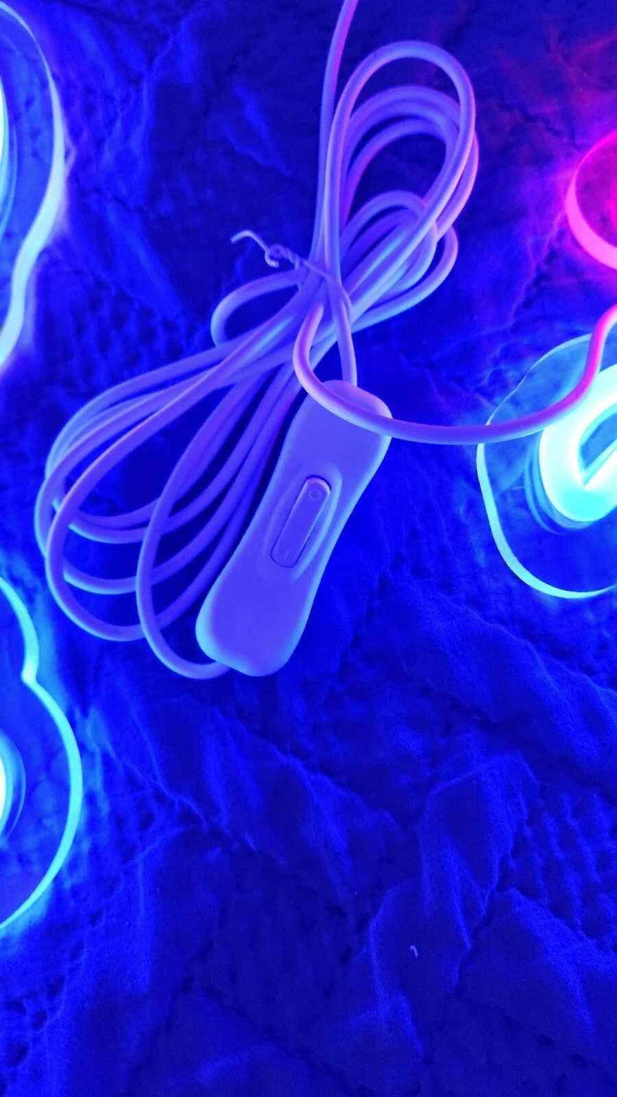 Buffalo Bulls  Neon Light