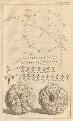 1757 Halleyscher Komet Vorhersage Spur Indianer Krieger tötet Seeigel 1756