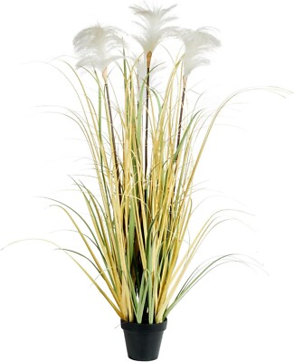 images of asiatic lilies Asiatic Lily Collection