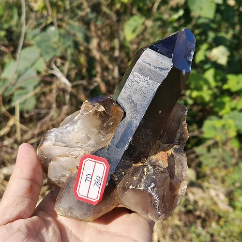 2,02 Pfund natürliche schwarze rauchige Cluster Quarz Kristall Reiki Heilung -0 - Bild 11 von 14