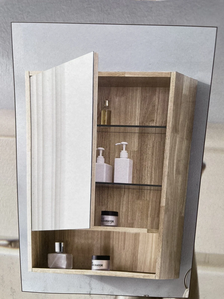 Allen Roth Medicine 20in X 27in Surface Mount