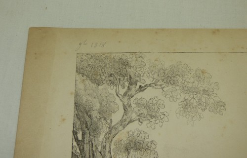 Carle Vernet Monkey Turkey Birds French Lithograph Antique 19th C Singe Dindons - Picture 12 of 13