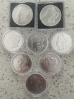 Morgan Silver Dollar Lot #3 - AU+ (8 coins)